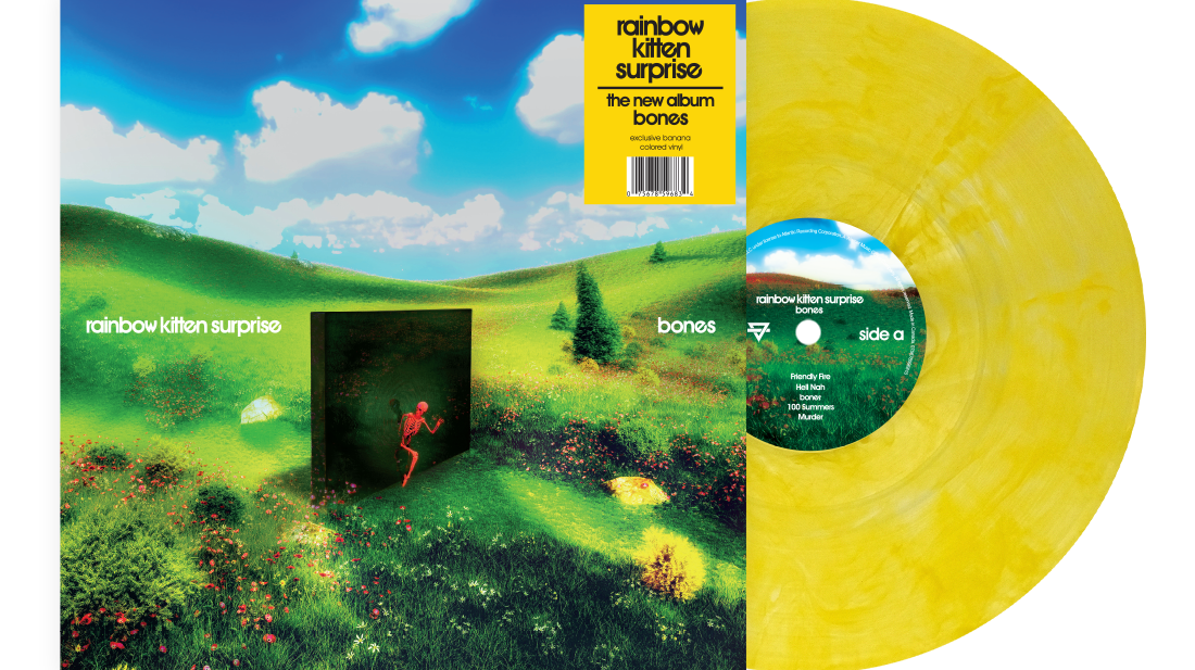 Rainbow Kitten Surprise "Bones"