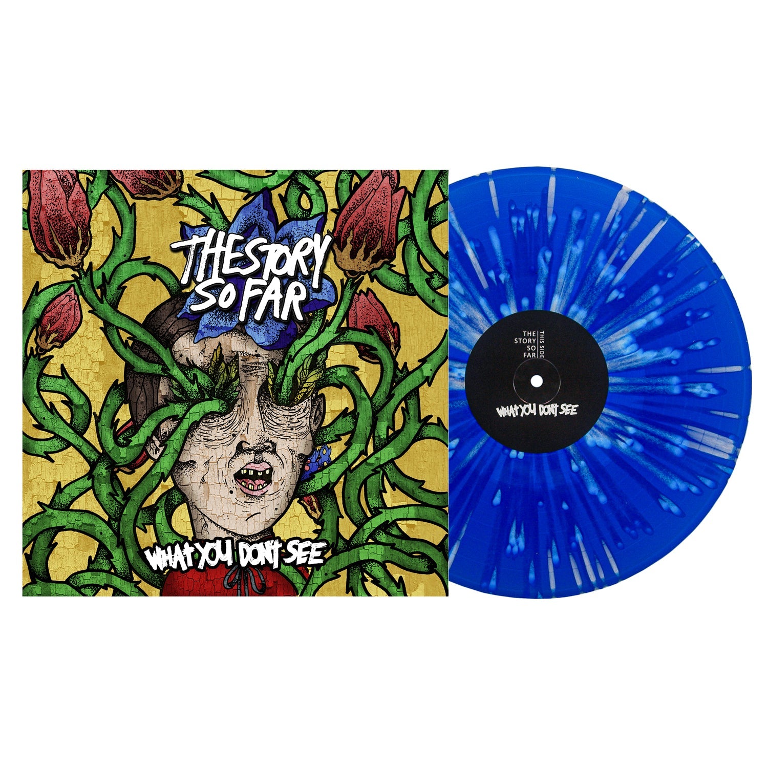 The Story So Far 