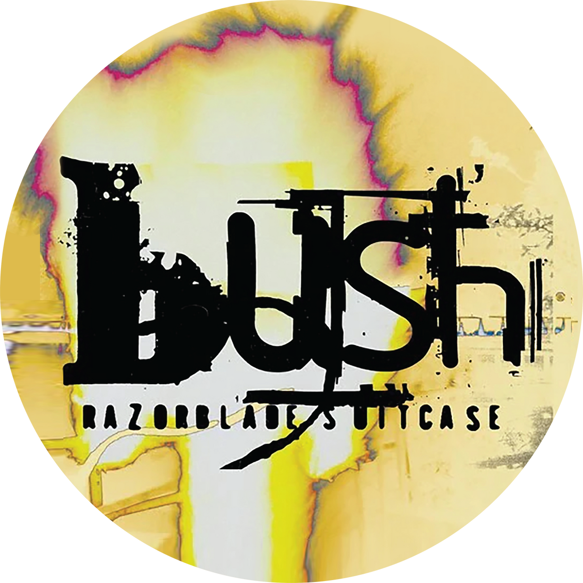 bush.png?crop=center&height=