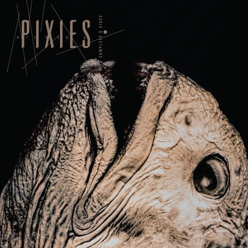 Pixies オフィシャルライヴ盤 53タイトルセット Pixies 