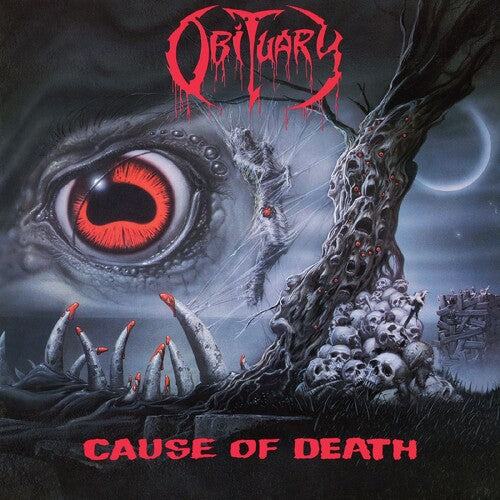 洋楽 OBITUARY cause of death Obituary 