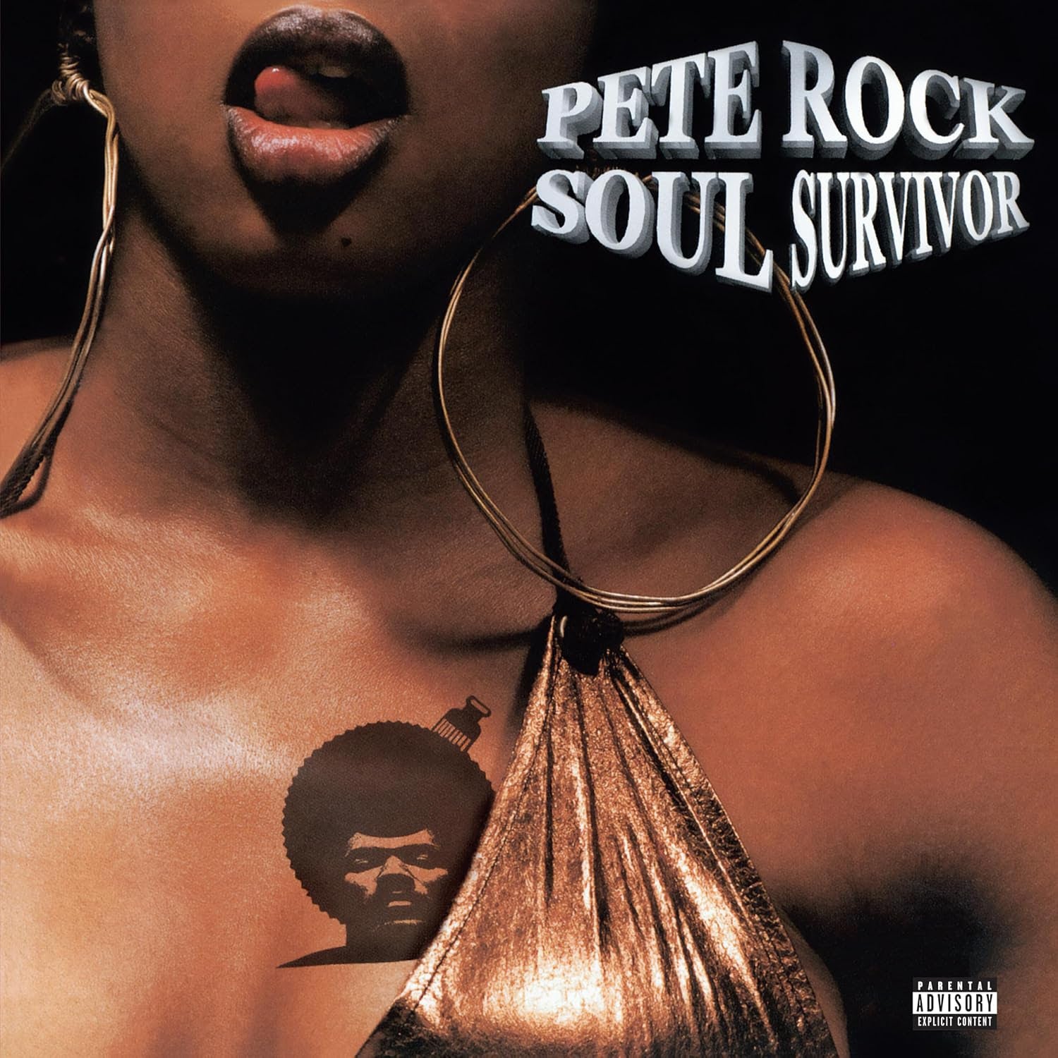 Pete Rock Soul Survivor 2枚組レコード　hip hop Pete Rock 