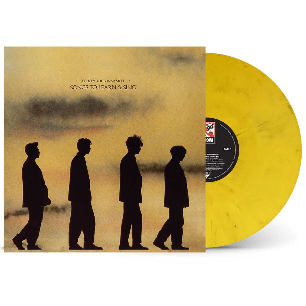 【R&B】Introducing BUD - Ballads & Funk white-image-27_grande.png?v=