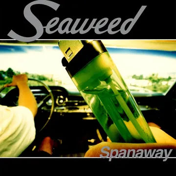 Seaweed 