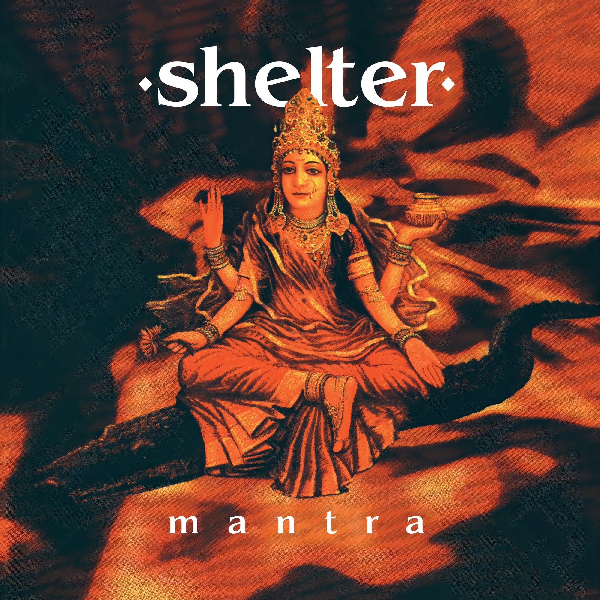 Shelter 