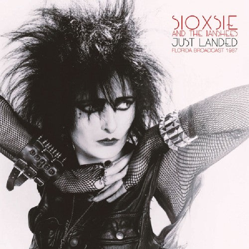 Siouxsie And The Banshees 
